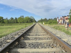 Train Tracks at the Gibbon Wildlife Sanctuary (Assam) India