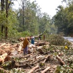 Wildlife Tourism Tangle