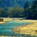 Blue Ramnagar Forest Division Corbett Tiger Reserve